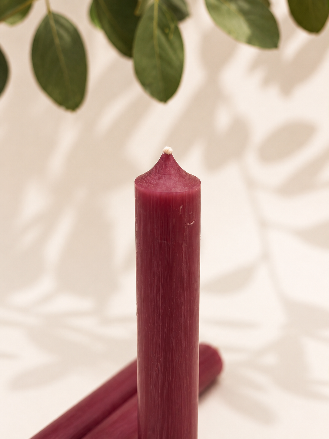 Vela fucsia
